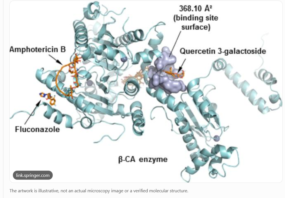 Scientific illustration accompanying the article about alpha-lipoic acid and Candida.